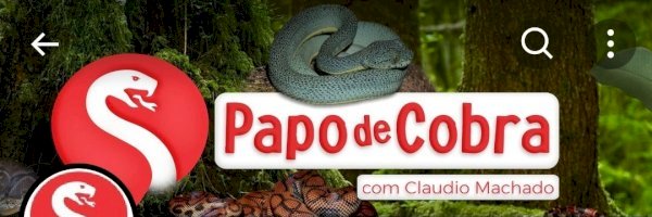 Cobras não são vilãs e têm papel fundamental na natureza - 18/08/2023 -  Folhinha - Folha